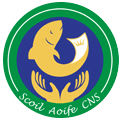 Scoil Aoife CNS Logo