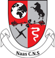 Naas CNS logo